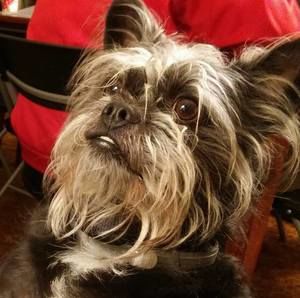 Meet your Posher, Sally